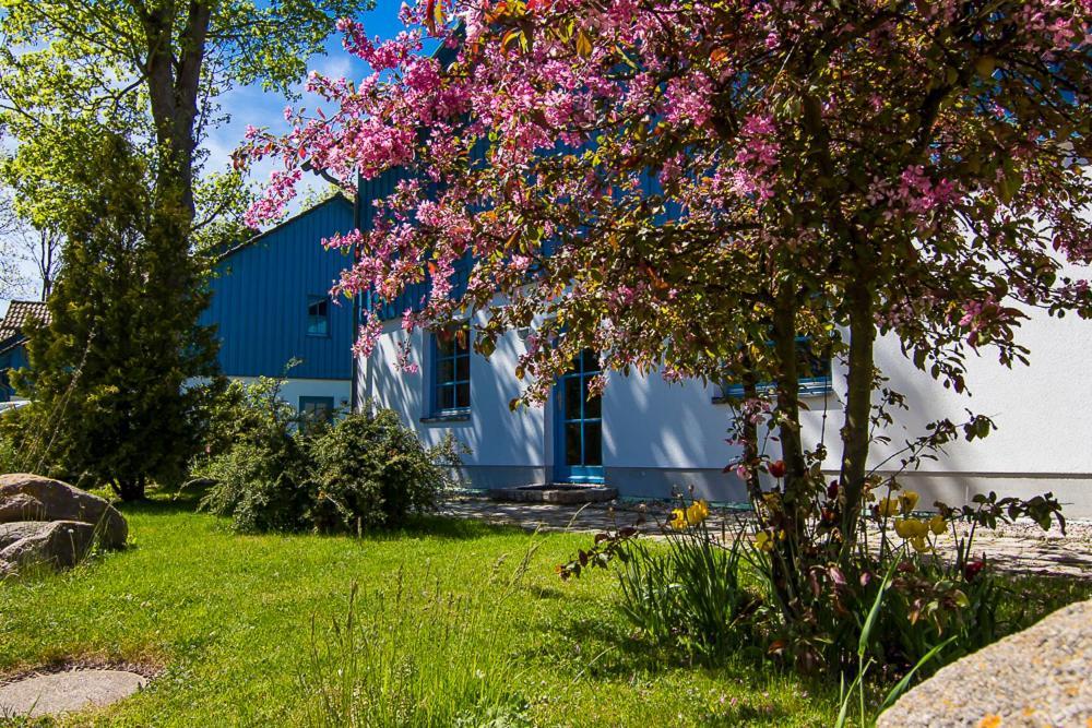 Ferienanlage Kap Arkona - App 7 Putgarten Eksteriør billede